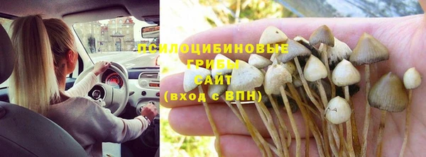 гашик Балахна